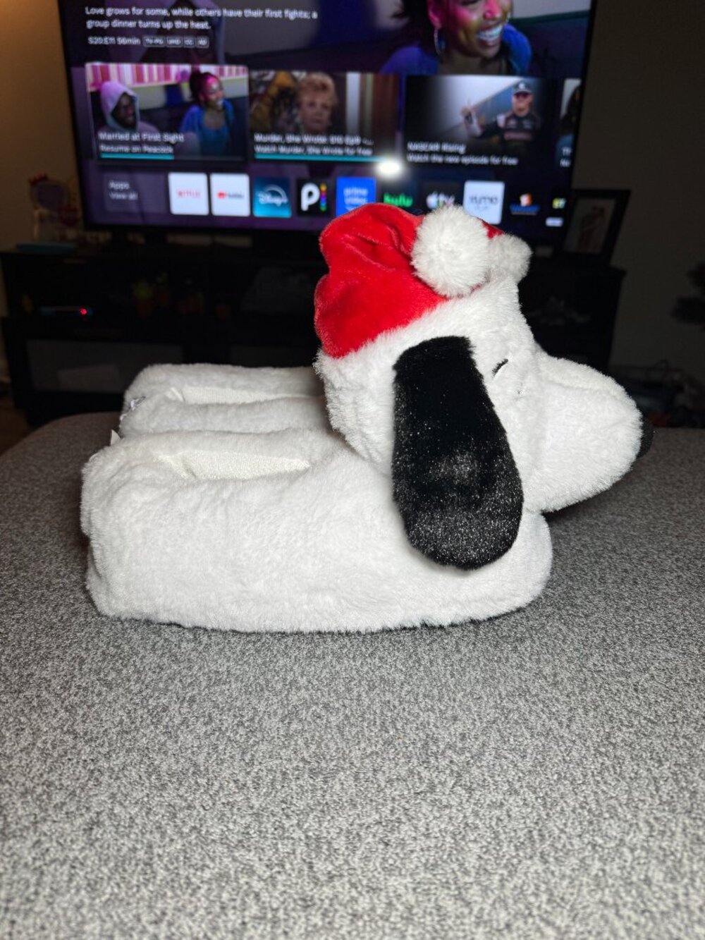 Snoopy Slippers